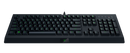 Razer Cynosa Lite RGB USB Wired Gaming Keyboard - Black RZ03-02740700-R3U1