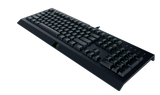 Razer Cynosa Lite RGB USB Wired Gaming Keyboard - Black (RZ03-02740700)