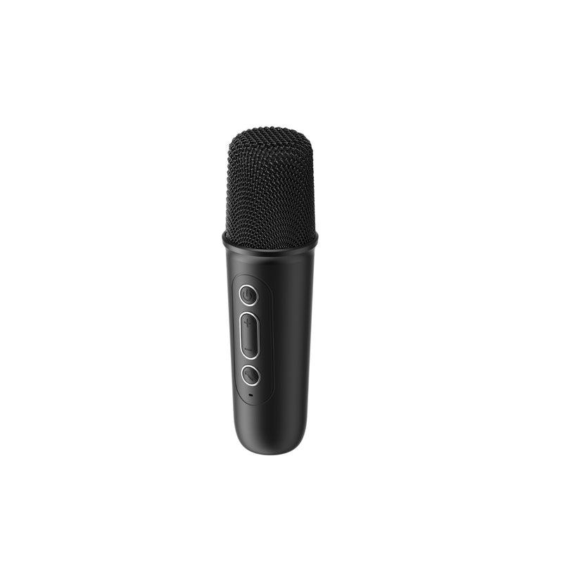 Havit Mini Karaoke Set - Black (HAV-SK819BT)